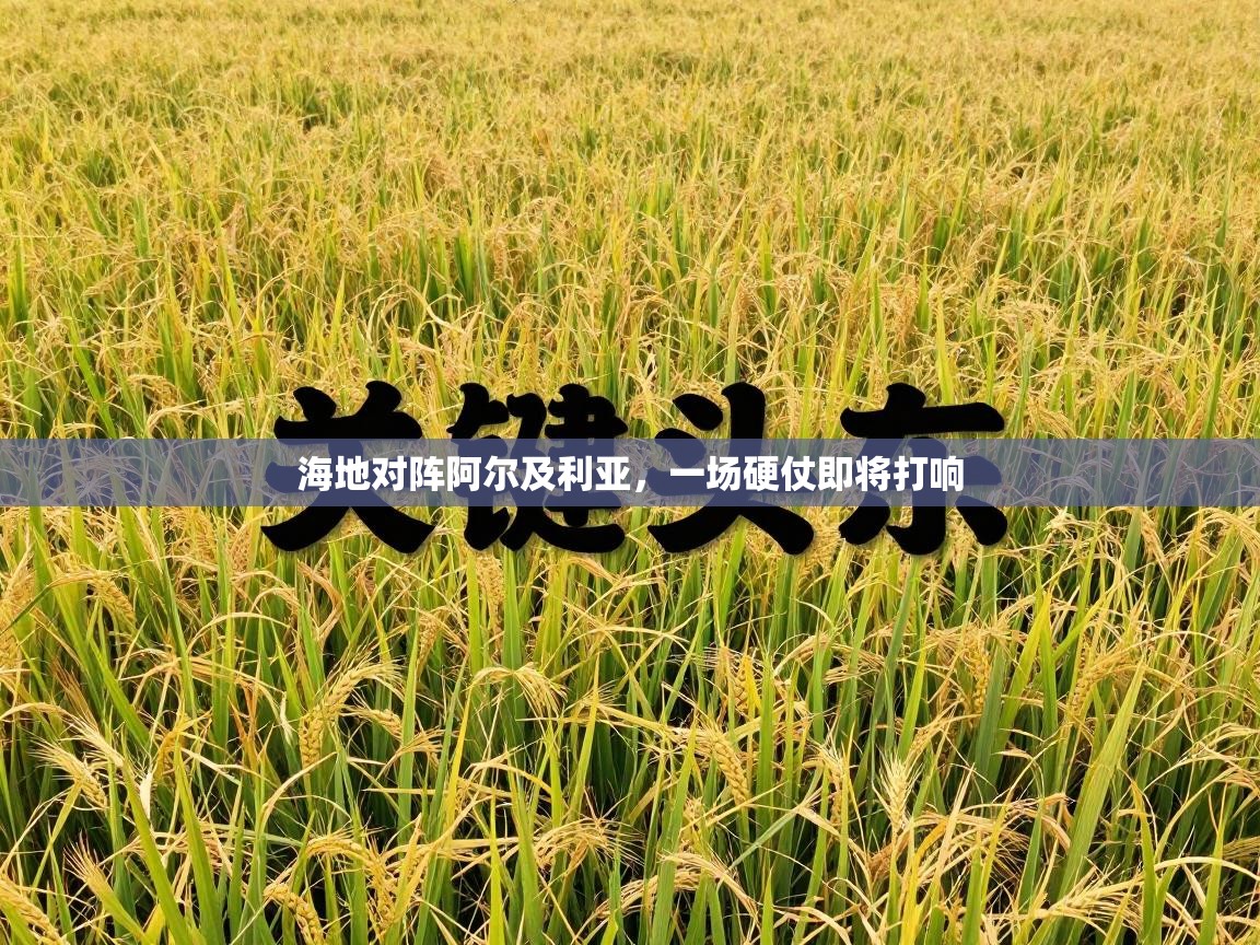 海地对阵阿尔及利亚，一场硬仗即将打响