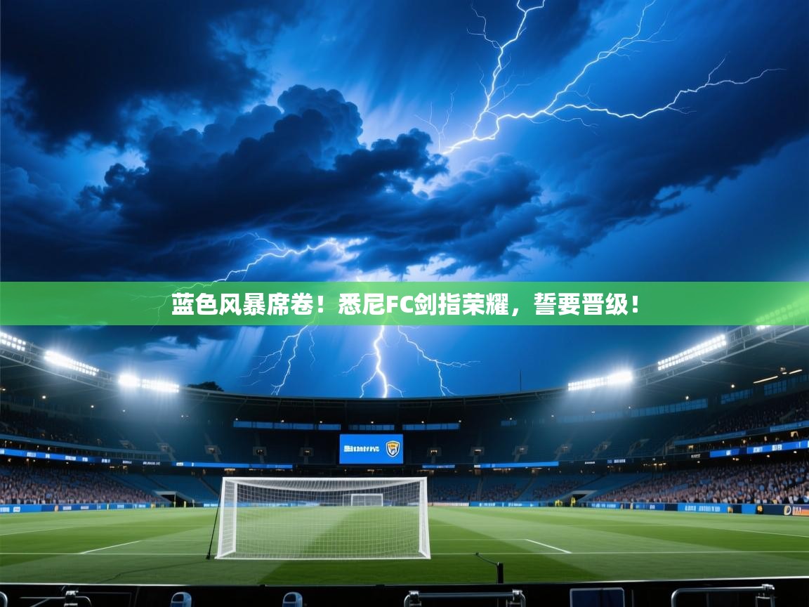 蓝色风暴席卷！悉尼FC剑指荣耀，誓要晋级！