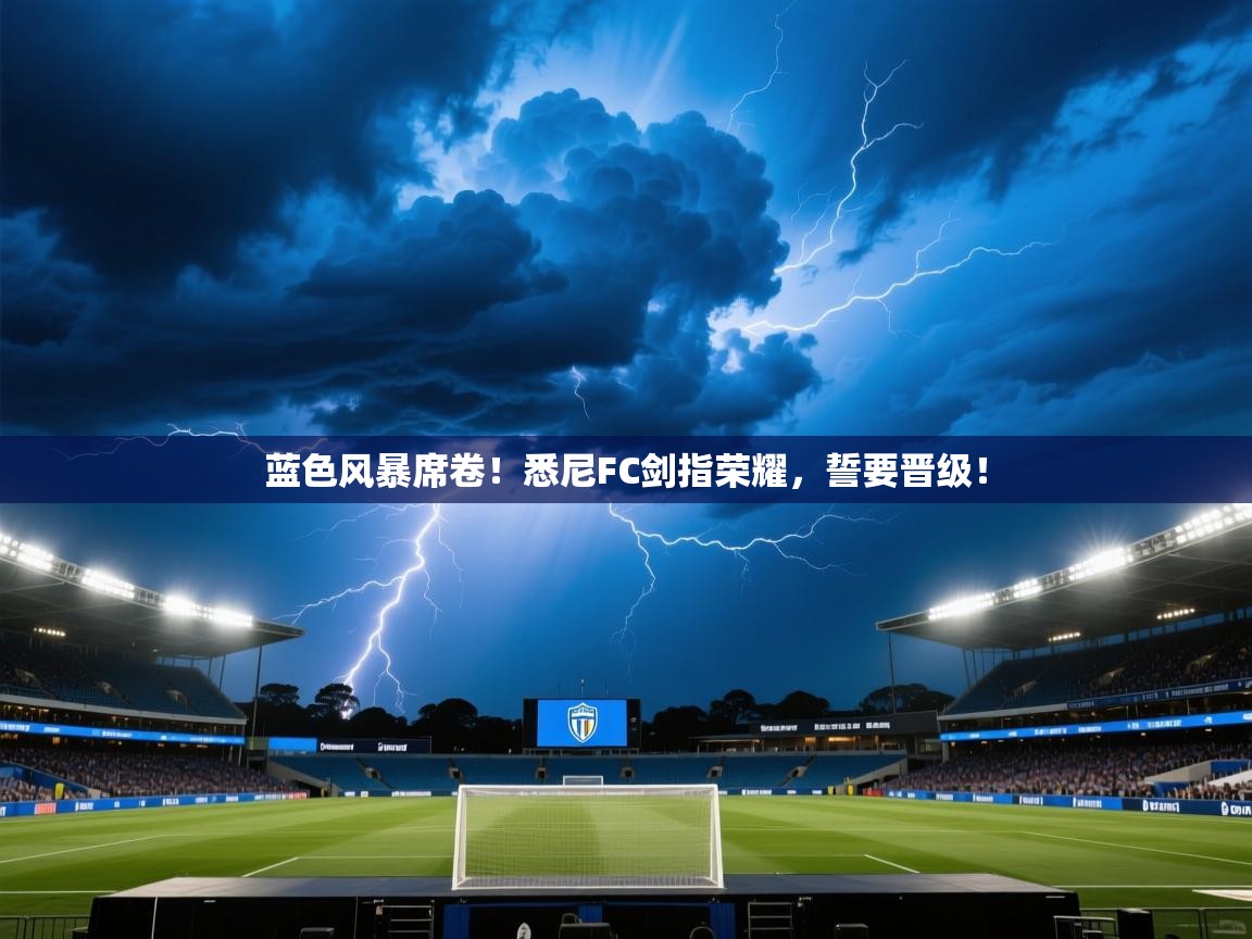 蓝色风暴席卷！悉尼FC剑指荣耀，誓要晋级！